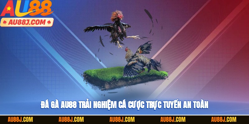 Đá gà AU88 trải nghiệm cá cược trực tuyến an toàn